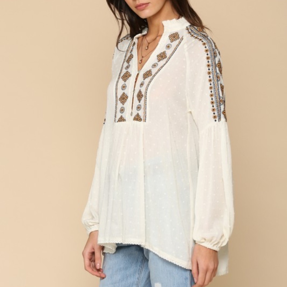 Last 1! NWT Crinkle Dot Embroidered Top - Picture 4 of 8
